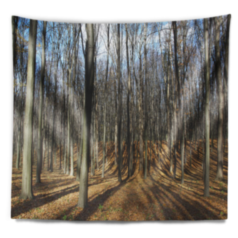 Toile d'ombre du soleil dans la forêt d'automne, H 68 po x l 80 po