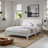 Allyannah Levison Platform Bed With Headboard-1765601811-1765388948