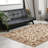 Weisgerber Indoor Rug-32793462