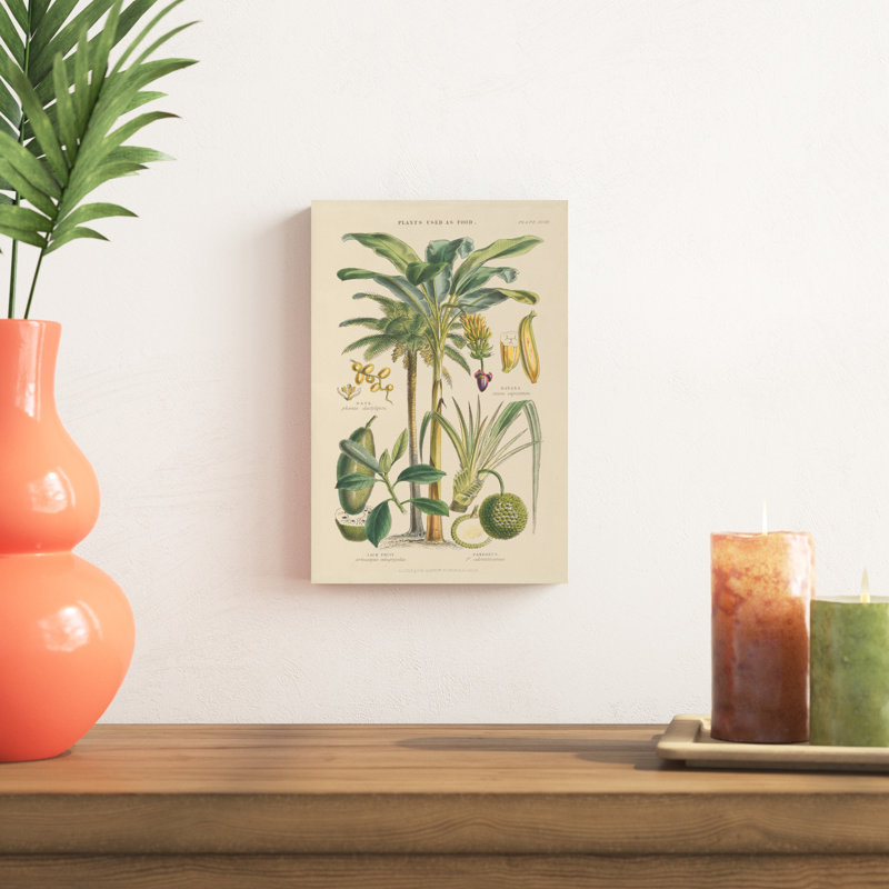 Arbres fruitiers, H 12 po x l 8 po x P 1,25 po