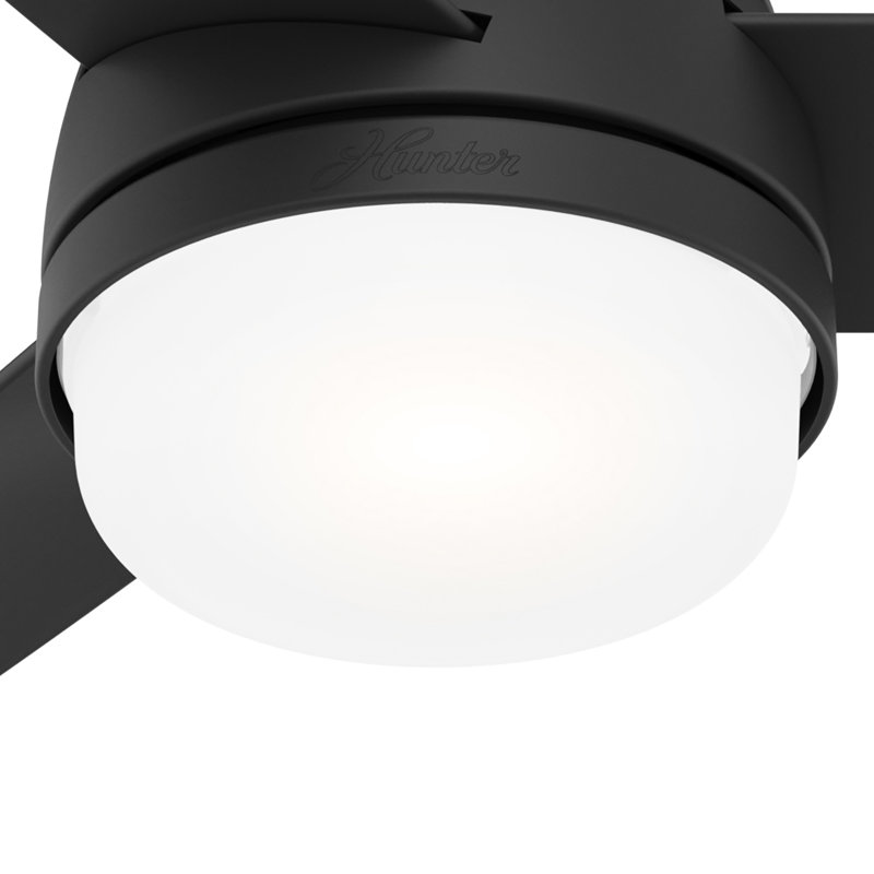 Ventilateur de plafond standard 48 pouces à 3 pales avec télécommande et ensemble d'éclairage inclus Midtown, Noir mat