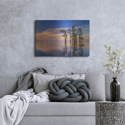 «Dusk on Lake Maurepas Oil Paint» par Rick Berk, art mural en métal