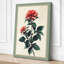 Coral Roses in Bloom Botanical - Wrapped Canvas-1126127217-1126127221