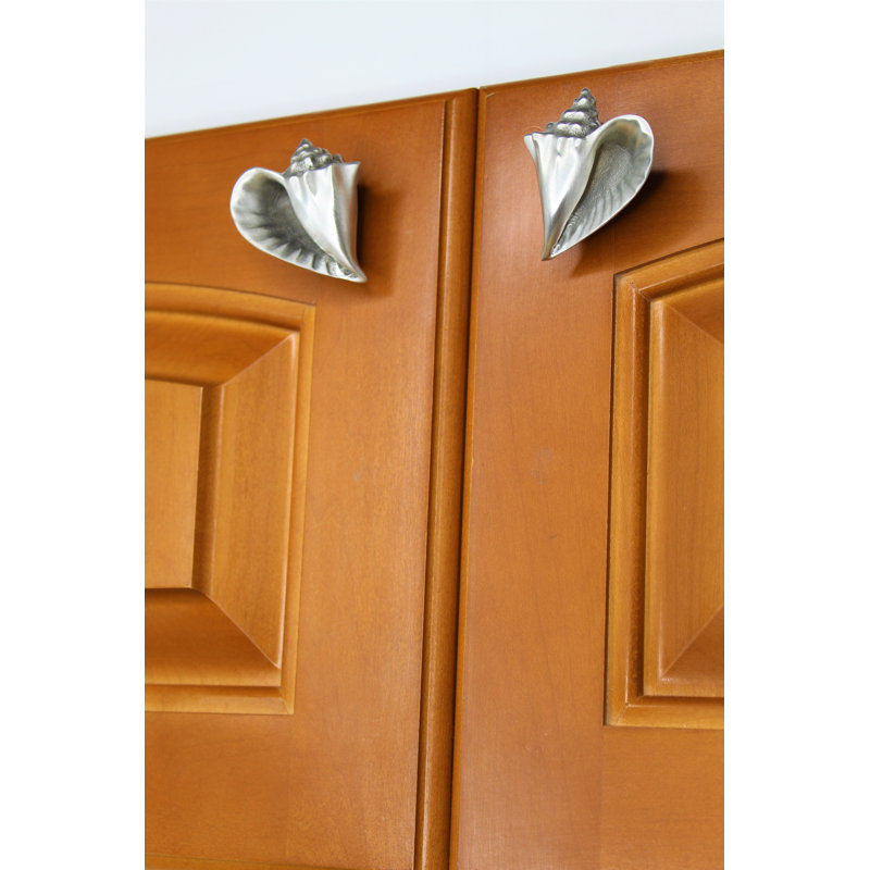 2" Conch Shell Knob, Brushed Nickel
