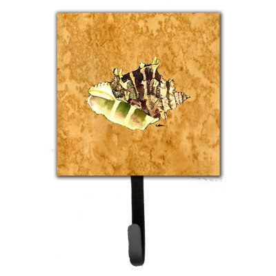 Shells Wall Hook