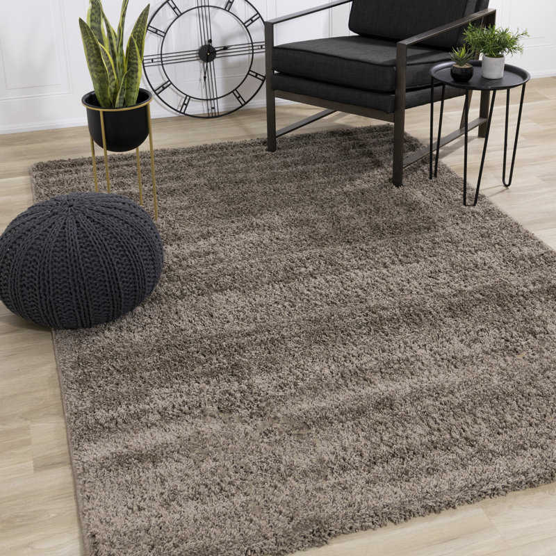 Tapis à poils longs Jayceonna, Rectangle 5 pi 3 po x 7 pi 7 po