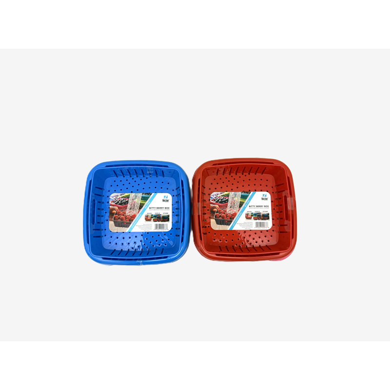 Bitty Berry Box Set Of 2 Red Blue