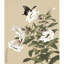 Butterfly Alighting on Lilies by Yu Zhi - Single Picture Frame Print-1149418939
