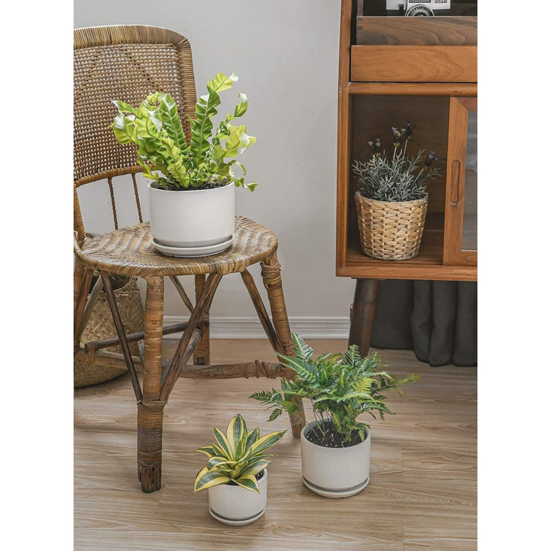 Ceramic Plant Pots  Set Of 3, Planters With Drainage Hole And Saucer, Indoor Flower Pot With Hole Mesh Pad, Gifts For Mom