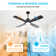 Jovaniel 54'' Ceiling Fan with LED Lights