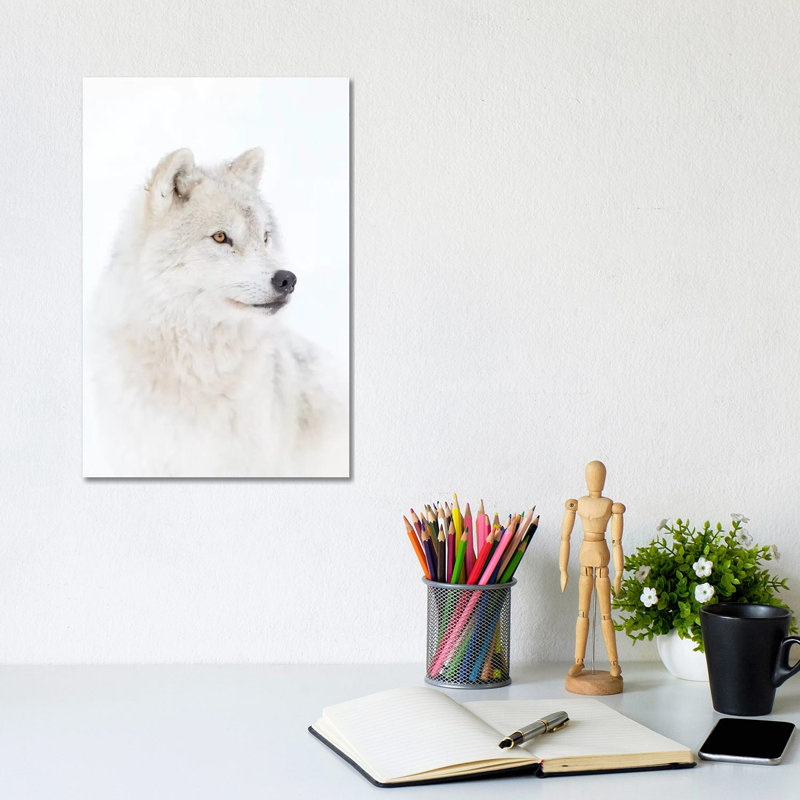 Portrait Of An Arctic Wolf by Jim Cumming - Wrapped Canvas Print, 30.48cm H x 20.32cm W x 1.91cm D