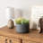 Indoor 8-Inch Concrete Flower Pot Planter-1077581982