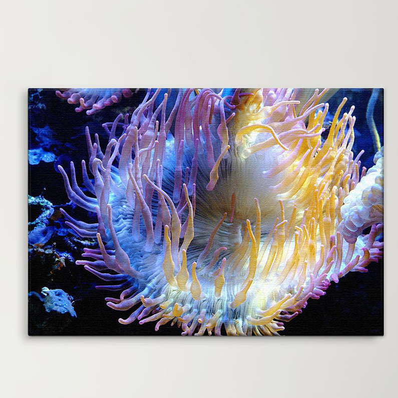 Print on Canvas, 100cm H x 150cm W x 2cm D