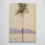 Chestnut Tree on Lake Constance by Egon Schiele 1912 - Canvas Framed Print-1890928626