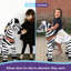 Model U Ride On Zebra-87150479
