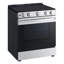 LG 6,3 pi³ Cuisinière électrique-124083309-124083306