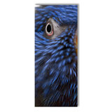 Feathery Focus Print