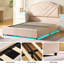 Bed Frame with Velvet Headboard, Smart Adjustable LED Light, Metal Ottoman Bed Frame With Wooden Slat Support, Gas Lift Under Bed Storage-248351409-248351422