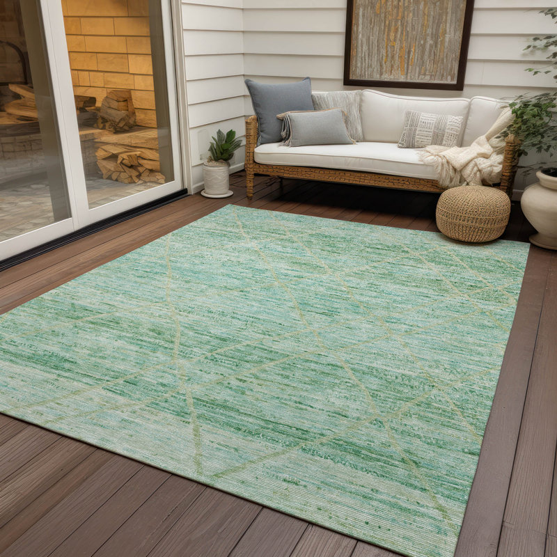 Machine Washable Indoor/Outdoor Cinead ACN1658 Aloe Rug, Rectangle 10' x 14'