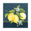 Blue Lemon Squeeze I by Carol Robinson - Wrapped Canvas Painting-489225518