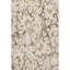 Tapis Cerrito avec envers antidérapant-103963247