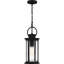 Lanterne suspendue d'extérieur 1 lumière Tilmore