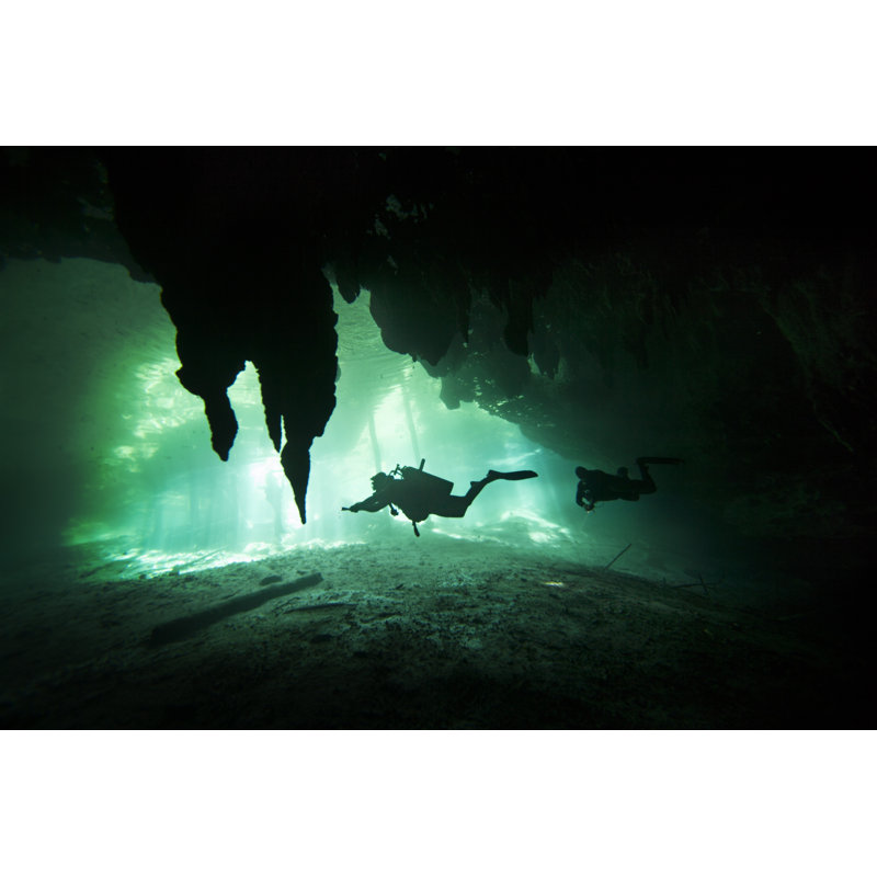 Diving - Wrapped Canvas Print, 81cm H x 122cm W x 3.8cm D
