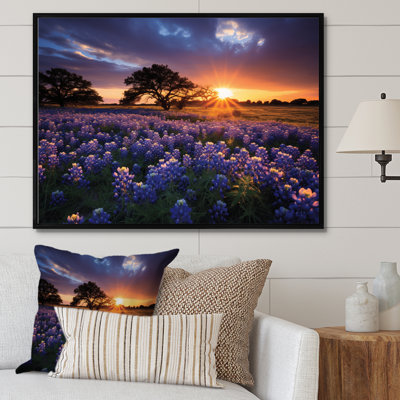 Sunrise Blue Bonnets Field III - impression