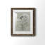 Bouquet de grâce, oiseau I - reproduction de cadre photo sur papier-2030664210-2030664214