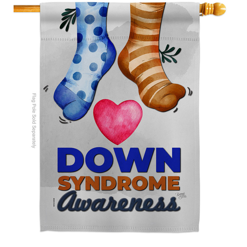 Drapeau de maison en polyester 40 x 28 po Down