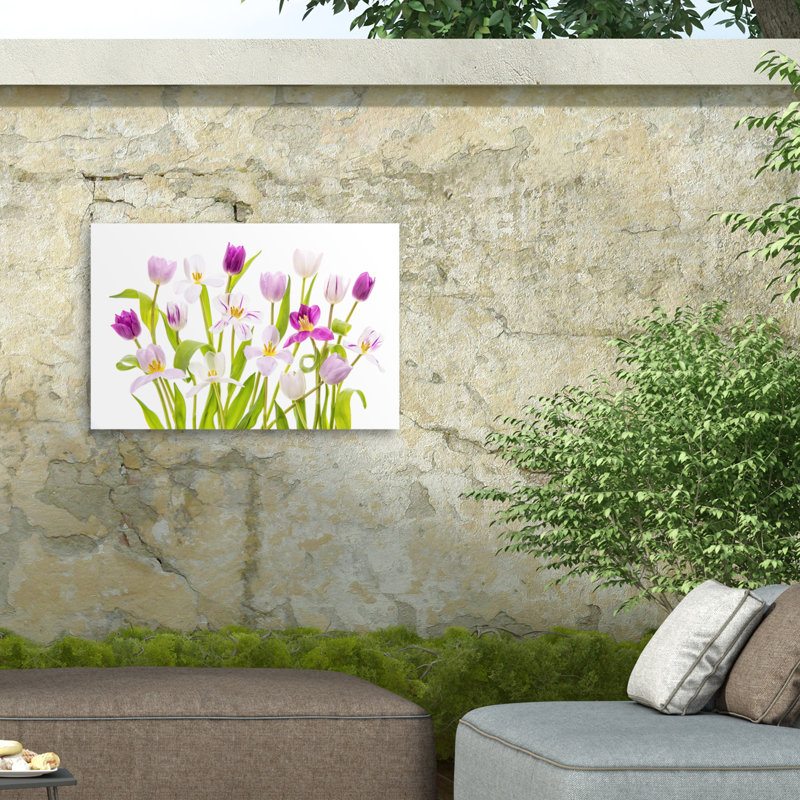 «Tulipa» sur une impression sur toile, H 22 po x l 32 po
