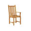 Classic Outdoor Dining Armchair-99025465