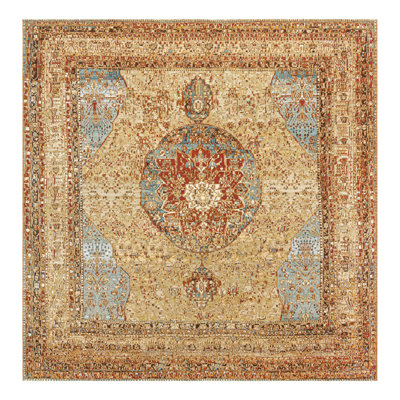 Indoor/Outdoor Traditional Area Rug