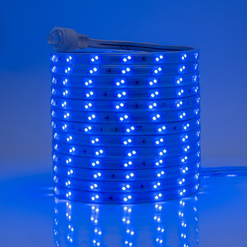Guirlande lumineuse à DEL 600 po Harielson, 100 pi