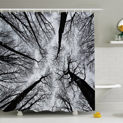 Forest Home Scary Winter Tops of the Trees Dark Dramatic Silhouettes Enchanted Image Shower Curtain Set -  Ambesonne, sc_20658_extralong