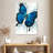 Brampt Beach Butterfly-108246314