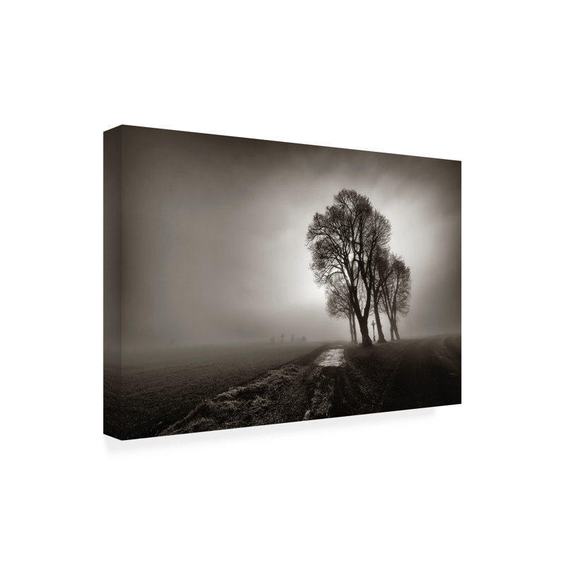 Art sur toile Arnaud MAUPETIT, H 12 po x l 19 po