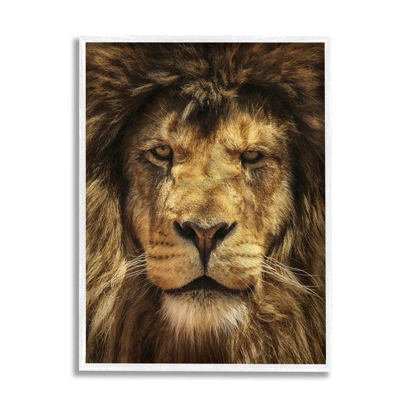 Gros plan sur un lion, estampe numérique de Carrie Ann Grippo-Pike, H 14 po x l 11 po x P 1,5 po
