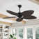 Crellin 52'' Ceiling Fan