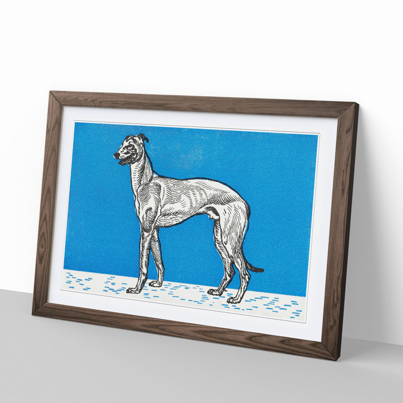 Greyhound Vol.1 by Moriz Jung - Picture Frame Graphic Art, Walnut Framed, 27cm H x 36cm W x 2cm D