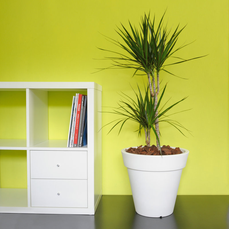 PEGASUS Conical Pot   Diameter, 37cm H x 40cm W x 40cm D, White