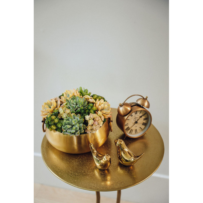 Blaise Succulent Arrangment
