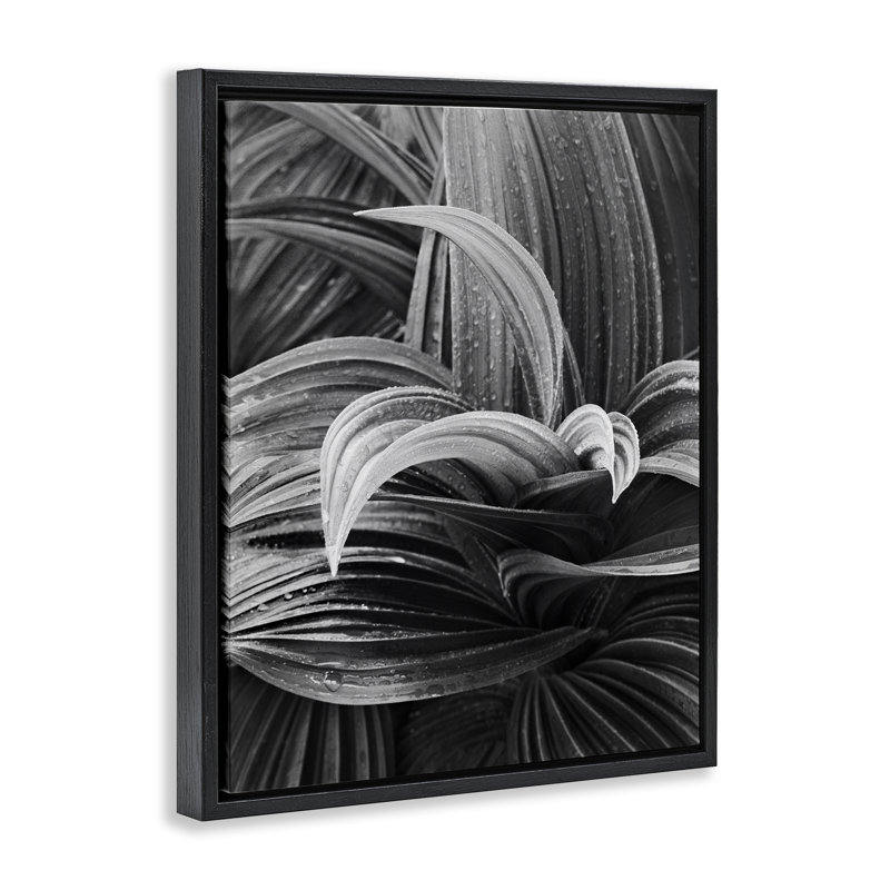 «Wet Leaves» par Chip Forelli, Cadre flottant noir de jais, H 21 po x l 17 po