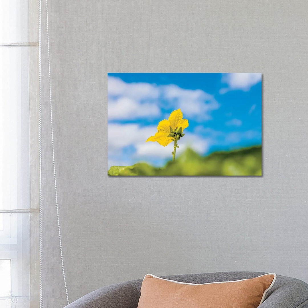 Panoramic Images - Print on Canvas