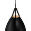 Luminaire suspendu 1 lumière Roxeanne
