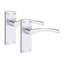 1 Set of Victorian Scroll Astrid Door Handle