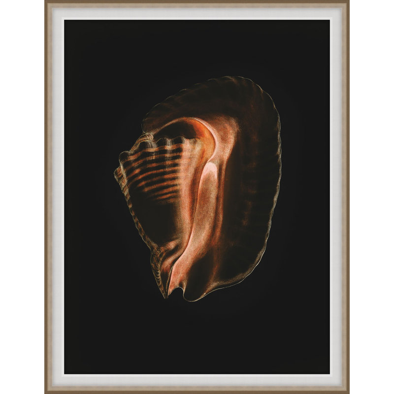 Wild Calm 1 Print, 20" H x 16" W x 2" D