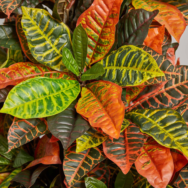 66'' Faux Croton Plant in Ceramic Planter