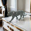 Modern Geometric Leopard Miniature Statue