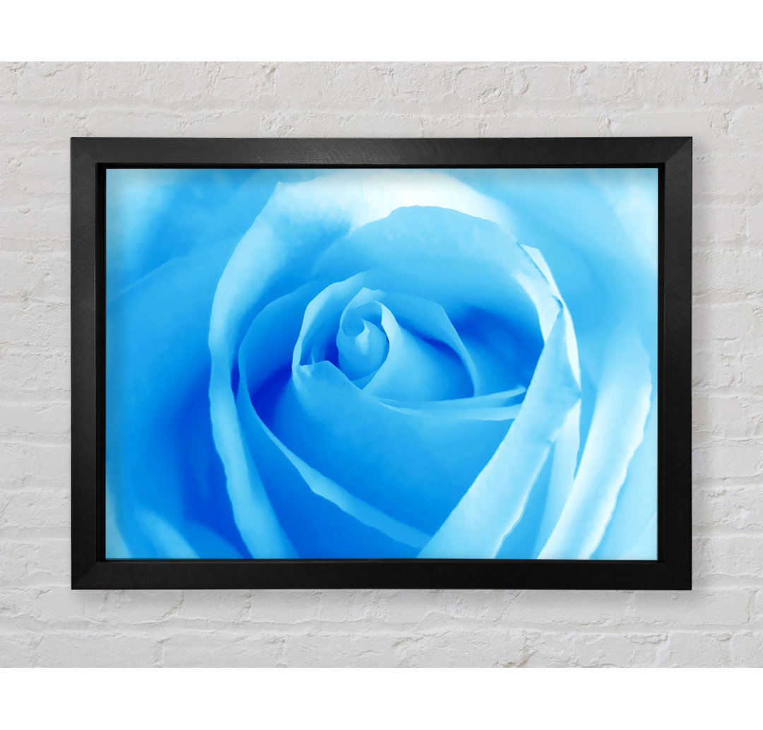 Baby Blue Rose - Einzelner Bilderrahmen Kunstdrucke